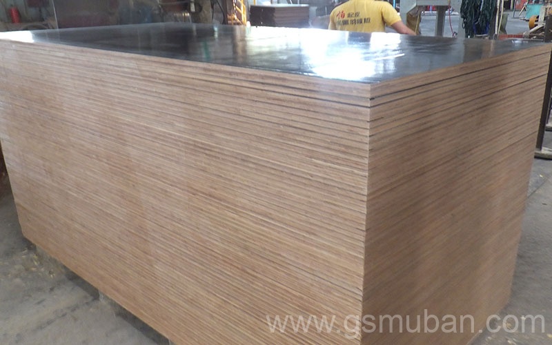 桉木建筑模板屬于好模板嗎?選購(gòu)桉木模板技巧