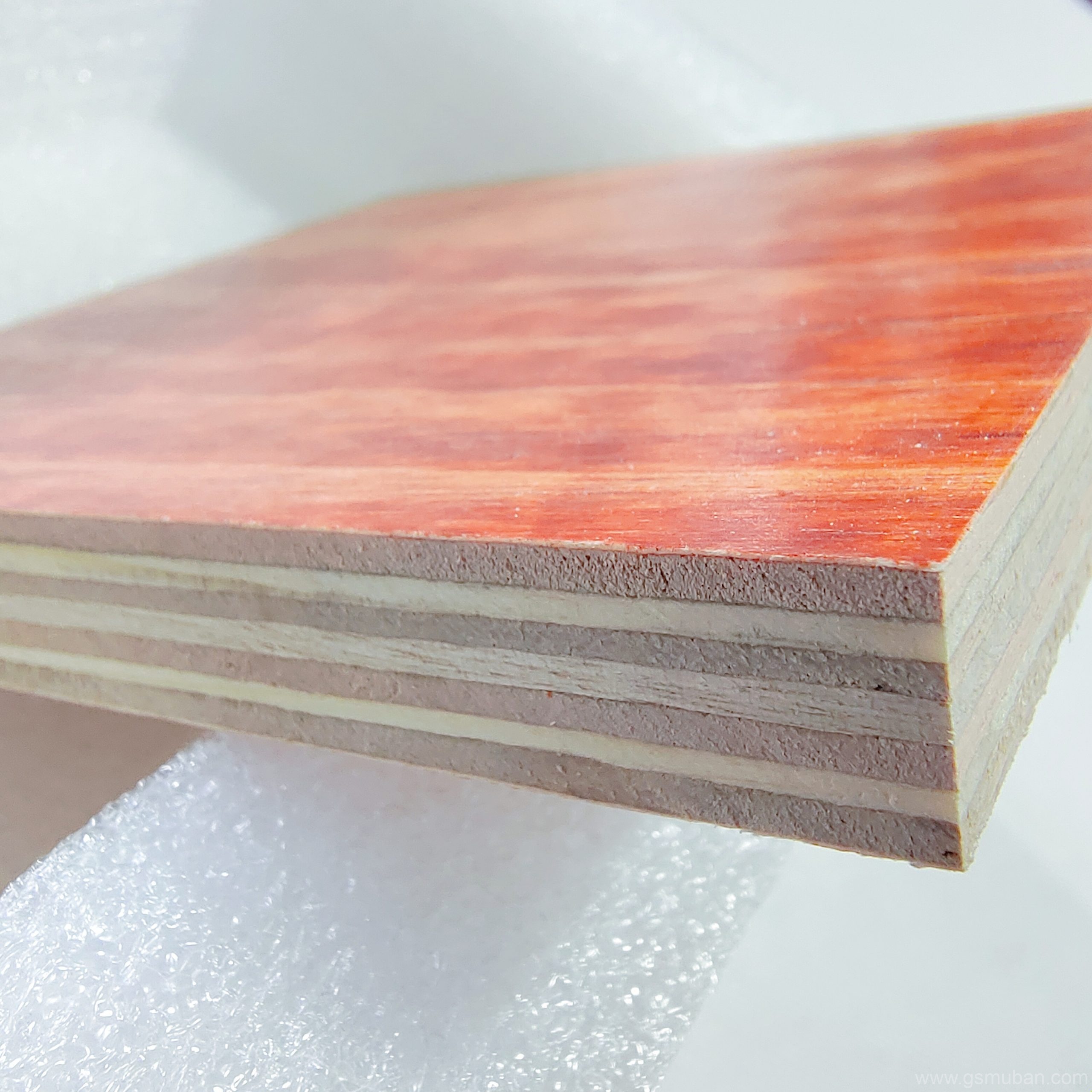 2025年建筑模板市場現狀與未來展望